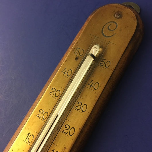 Antique 1900s Thermometer Case Mother of Pearl and Gold Chain 